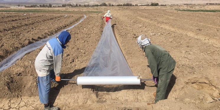 3 روستای بدون بیکار در سمنان/ عبور از بیکاری در روزهای کرونایی