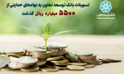 تسهیلات بانک توسعه تعاون به نهاد های حمایتی از 5500 میلیارد ریال گذشت