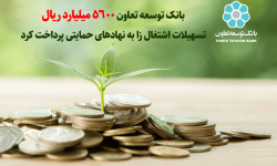 بانک توسعه تعاون 5600 میلیارد ریال تسهیلات اشتغال‌زا به نهادهای حمایتی پرداخت کرد