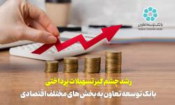 رشد چشم گیر تسهیلات پرداختی بانک توسعه تعاون به بخش های مختلف اقتصادی