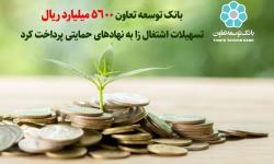 پرداخت ۵۶۰۰ میلیارد ریال تسهیلات بانک توسعه تعاون به مددجویان نهاد های حمایتی