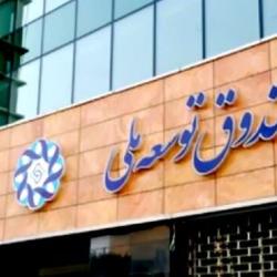 امکان تسویه مطالبات ارزی صندوق توسعه ملی با بازپرداخت ریالی