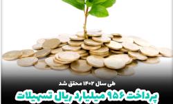 پرداخت 956 میلیارد ریال تسهیلات قرض الحسنه بانک توسعه تعاون در خراسان جنوبی